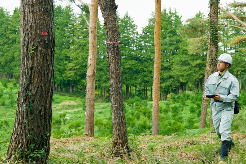 森を歩く林業作業員