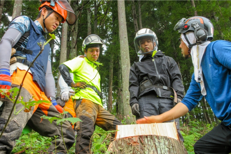 倒木の枝払い作業
