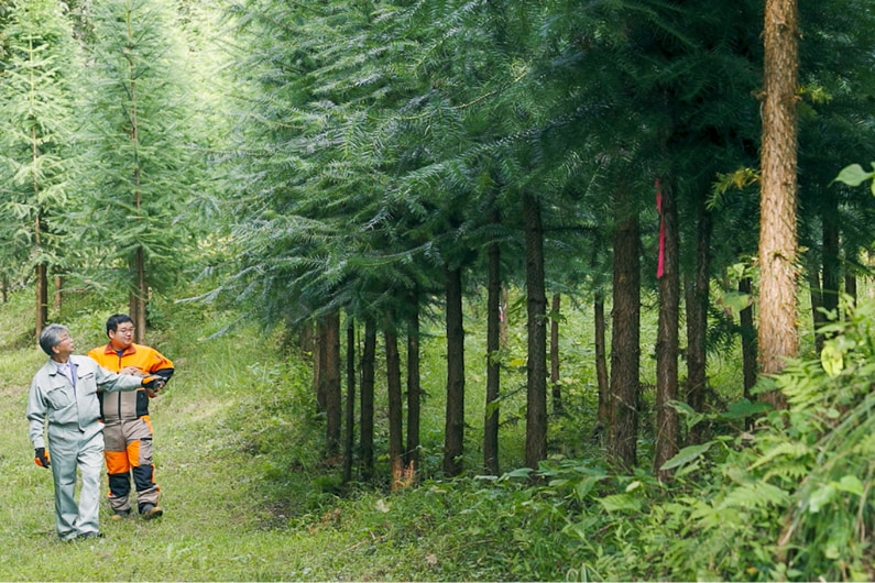 森林の状況確認を行うスタッフ