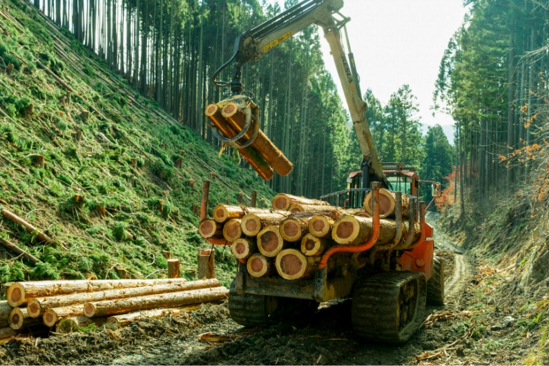 重機による丸太の積み込み作業